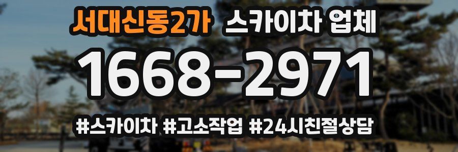 서대신동2가 스카이차 업체
