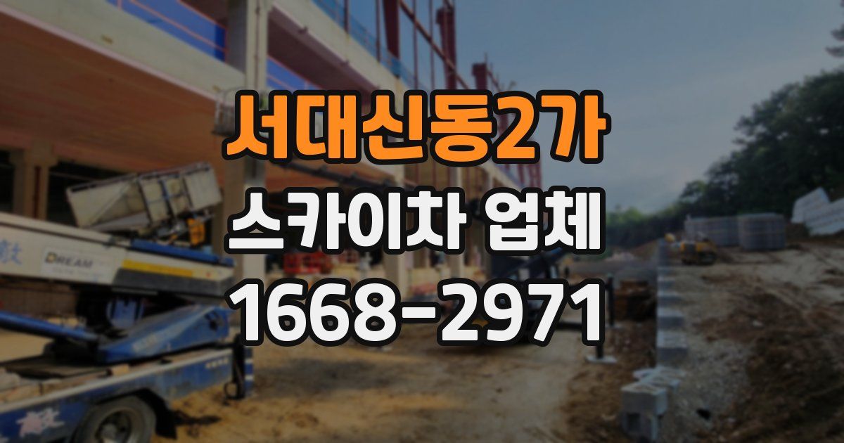 서대신동2가 스카이차 업체