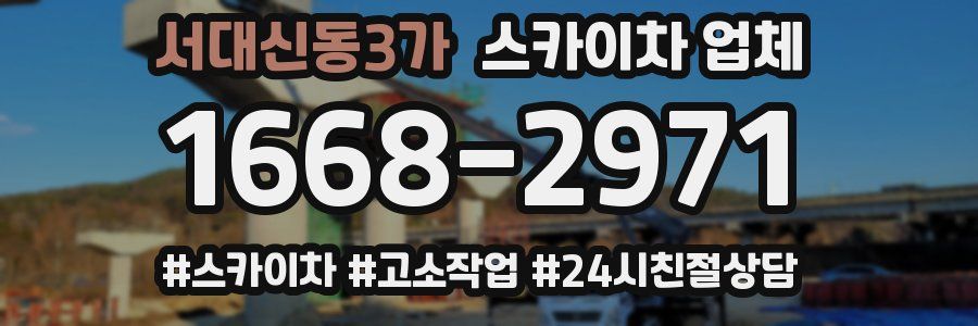 서대신동3가 스카이차 업체