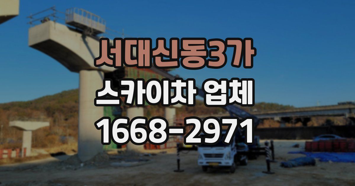 서대신동3가 스카이차 업체