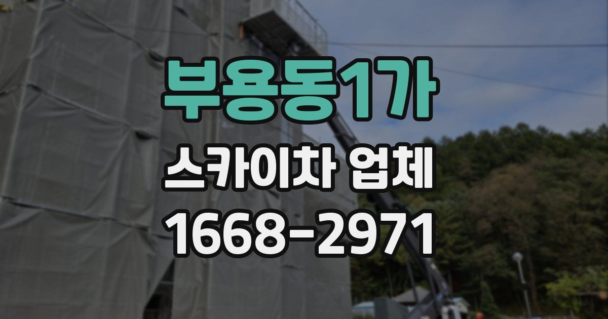 부용동1가 스카이차 업체