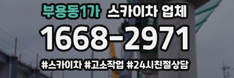 부용동1가 스카이차 업체