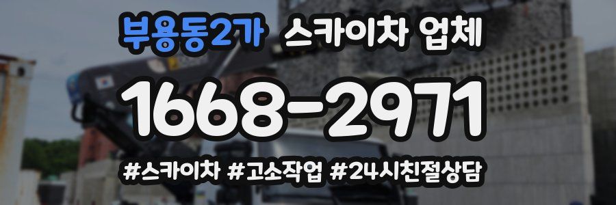 부용동2가 스카이차 업체