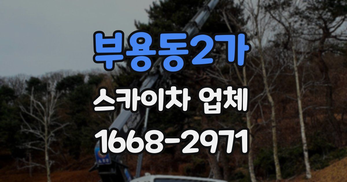 부용동2가 스카이차 업체