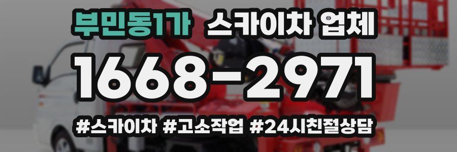 부민동1가 스카이차 업체