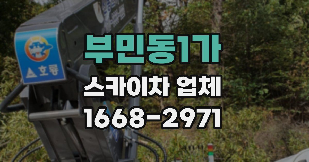 부민동1가 스카이차 업체