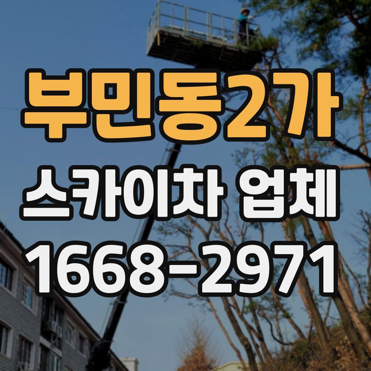 부민동2가 스카이차 업체