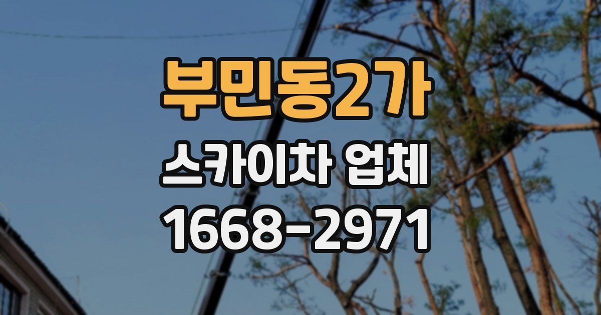 부민동2가 스카이차 업체