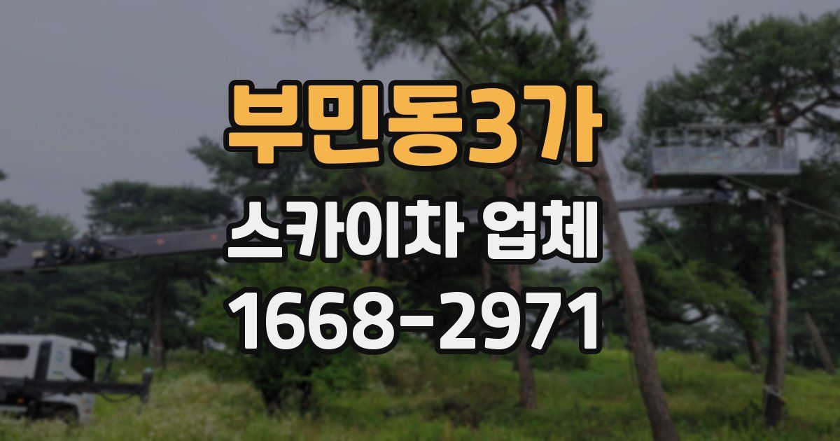 부민동3가 스카이차 업체