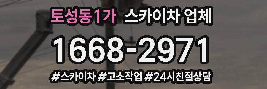 토성동1가 스카이차 업체