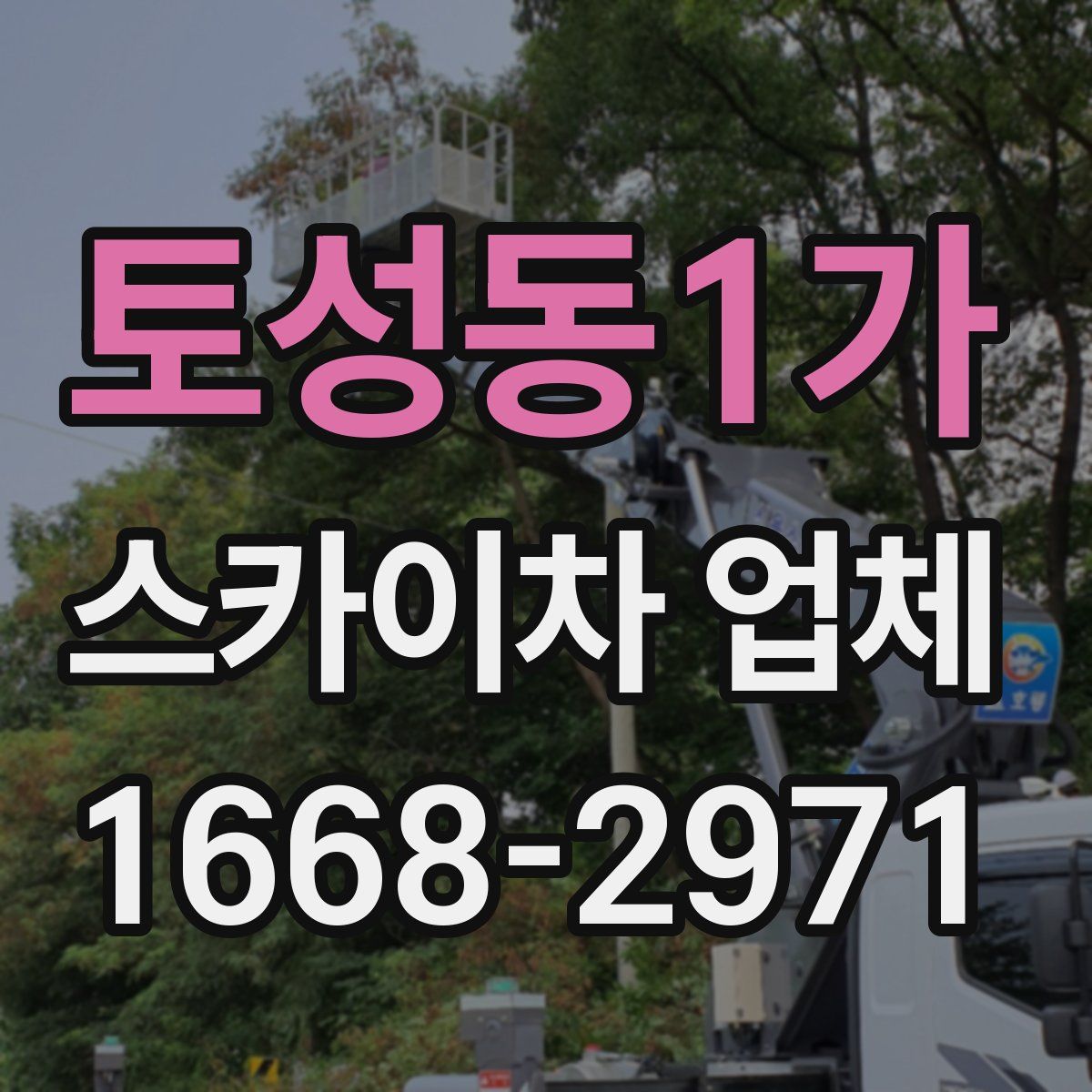 토성동1가 스카이차 업체