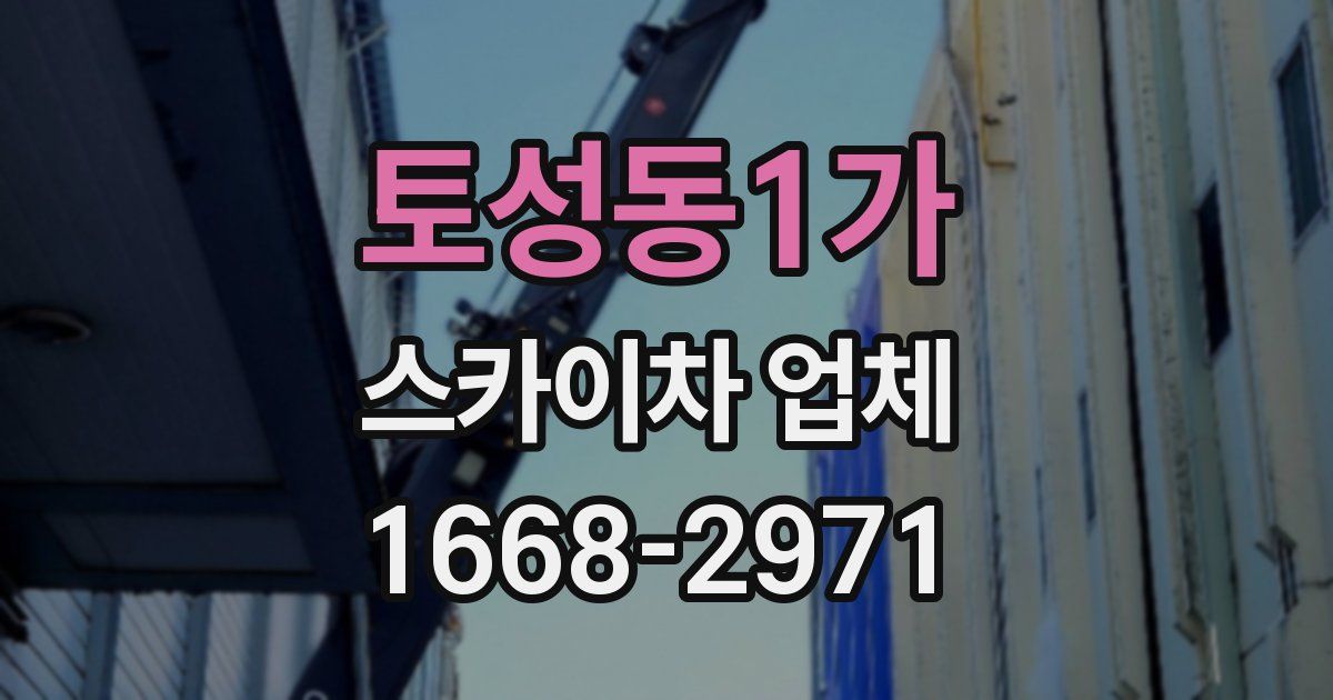 토성동1가 스카이차 업체