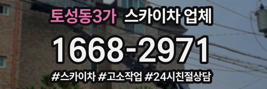 토성동3가 스카이차 업체