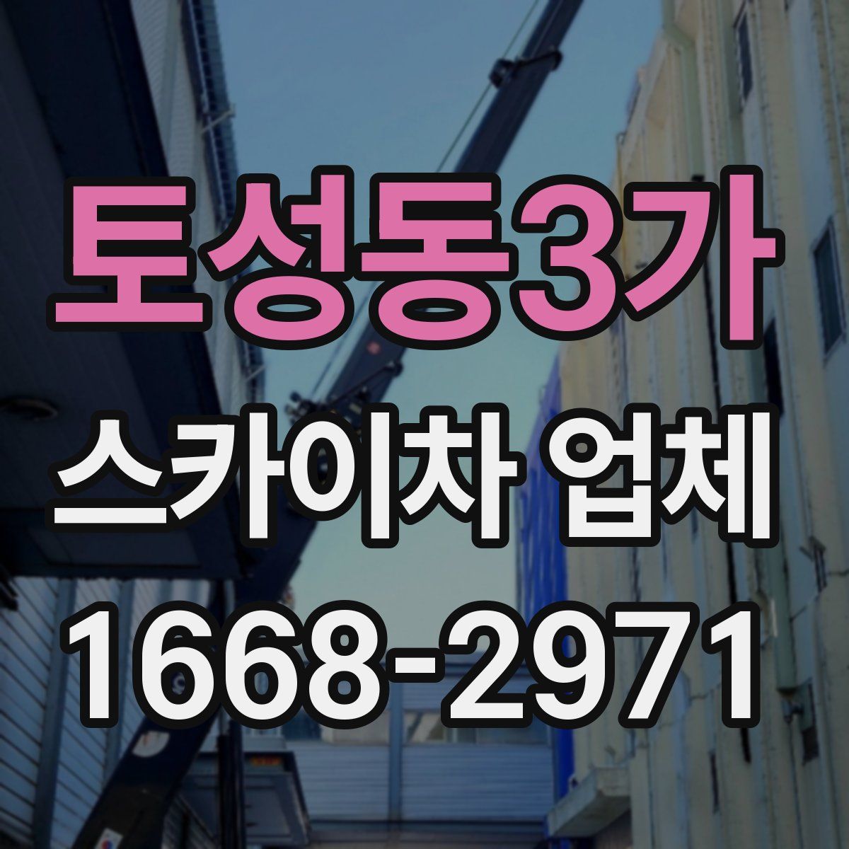 토성동3가 스카이차 업체