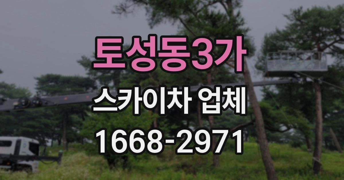토성동3가 스카이차 업체