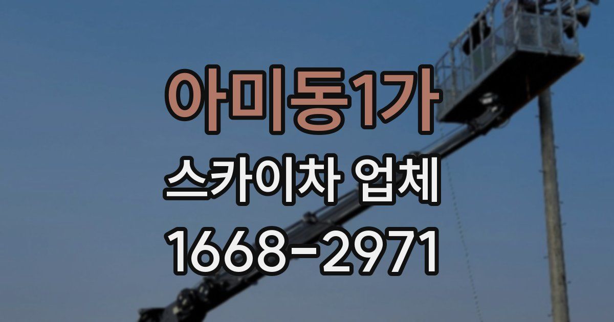 아미동1가 스카이차 업체