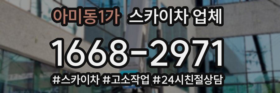아미동1가 스카이차 업체