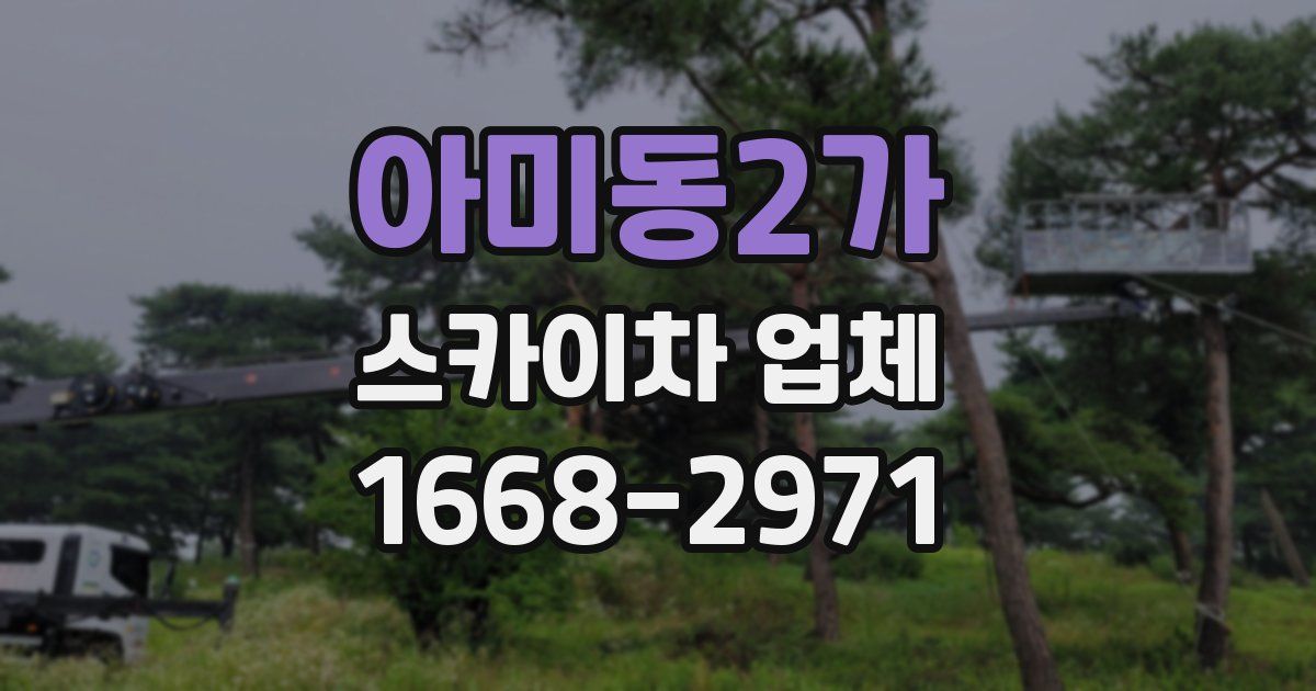 아미동2가 스카이차 업체