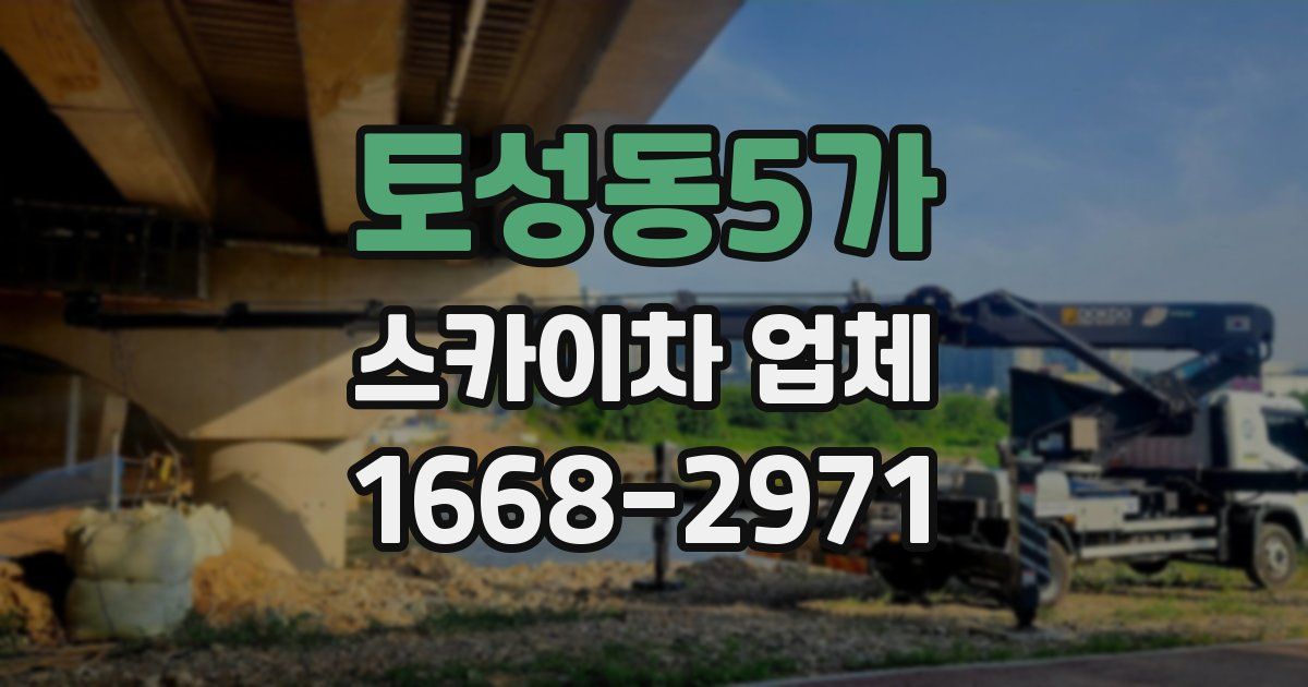 토성동5가 스카이차 업체