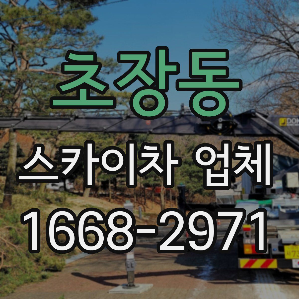 초장동 스카이차 업체