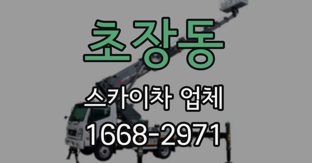 초장동 스카이차 업체