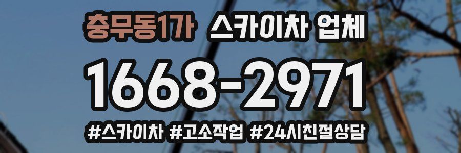 충무동1가 스카이차 업체