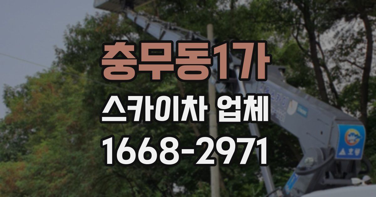 충무동1가 스카이차 업체