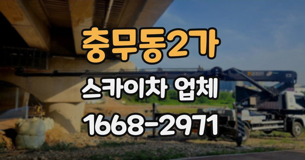 충무동2가 스카이차 업체