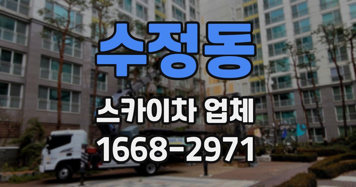 수정동 스카이차 업체