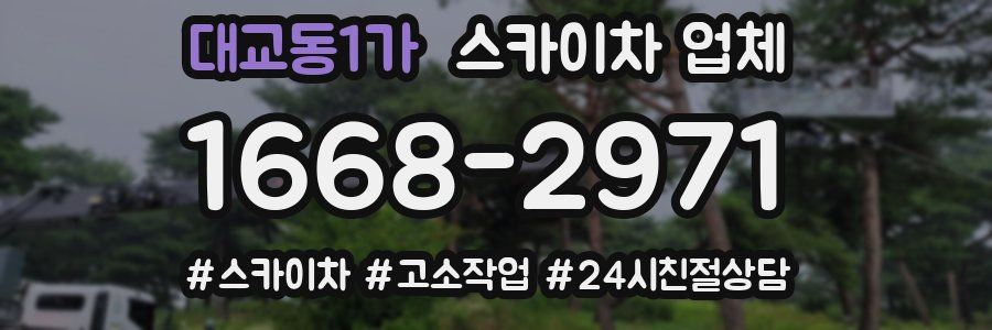 대교동1가 스카이차 업체