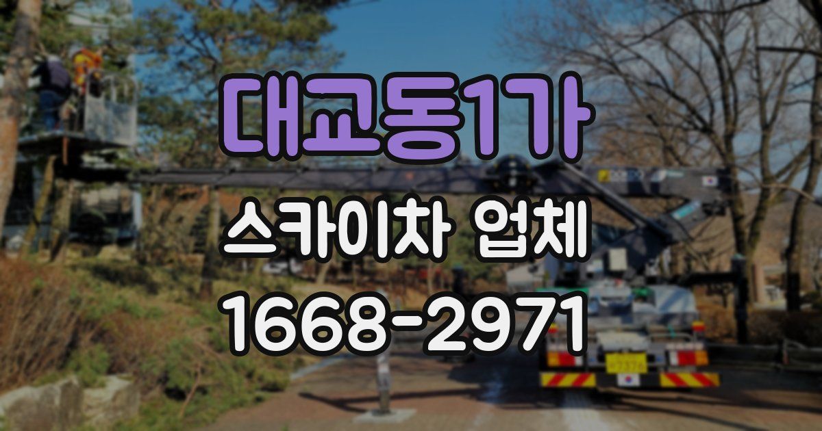 대교동1가 스카이차 업체