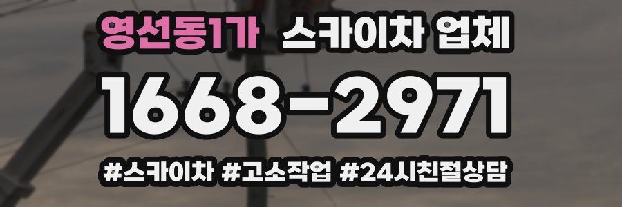 영선동1가 스카이차 업체
