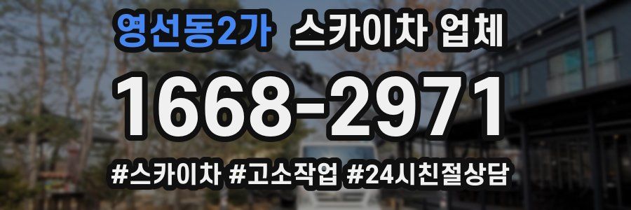 영선동2가 스카이차 업체