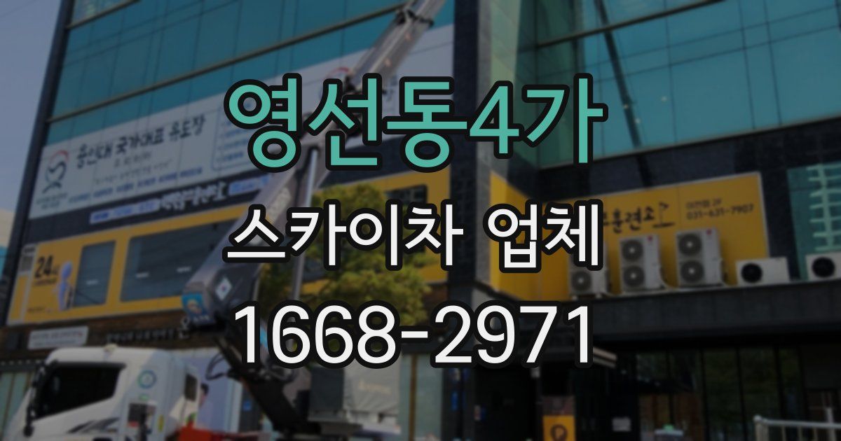 영선동4가 스카이차 업체