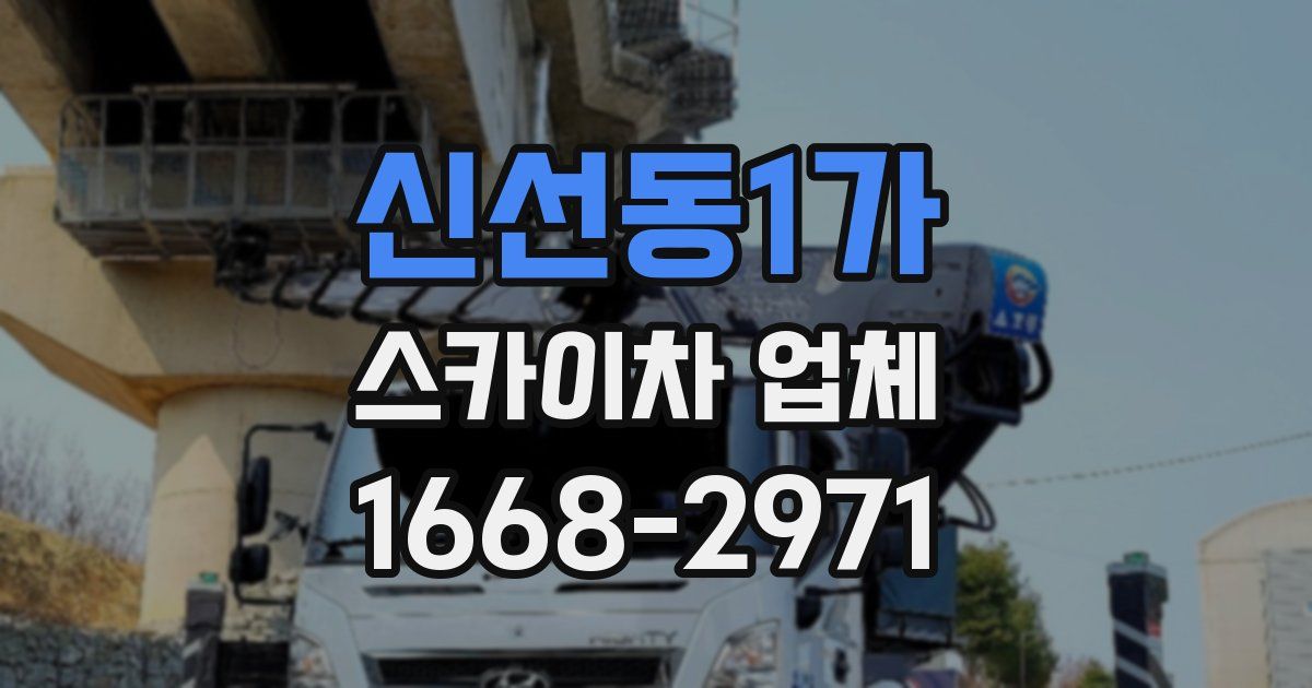 신선동1가 스카이차 업체