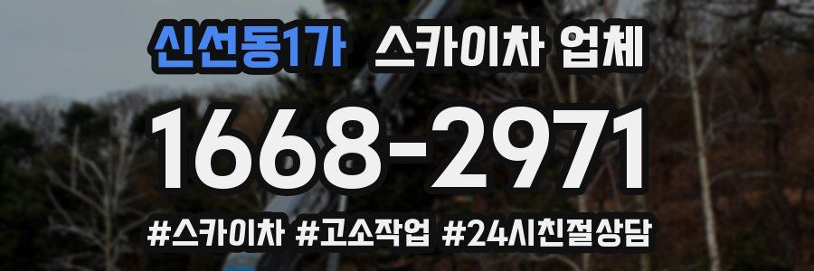 신선동1가 스카이차 업체