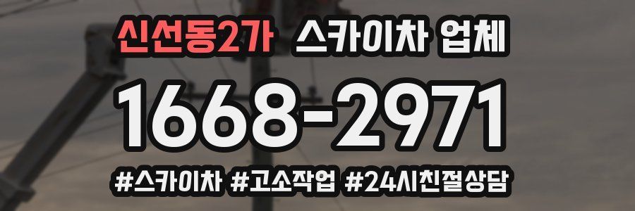신선동2가 스카이차 업체