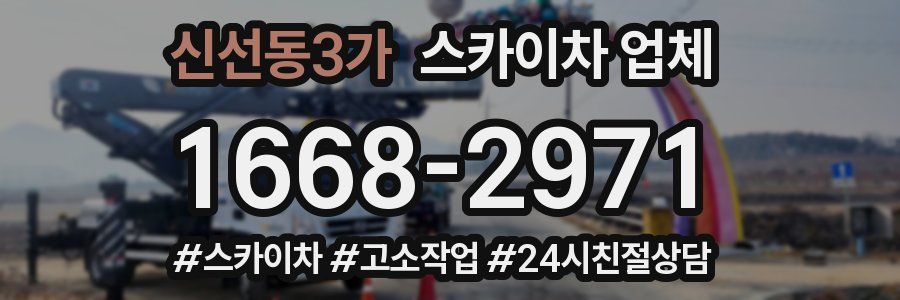 신선동3가 스카이차 업체