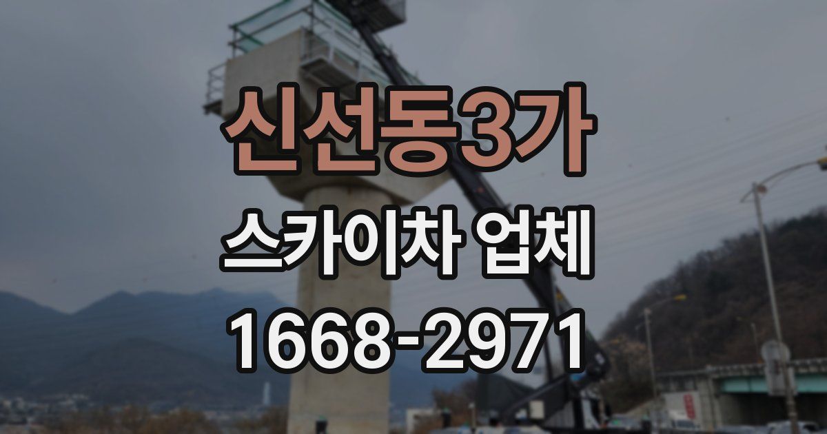 신선동3가 스카이차 업체