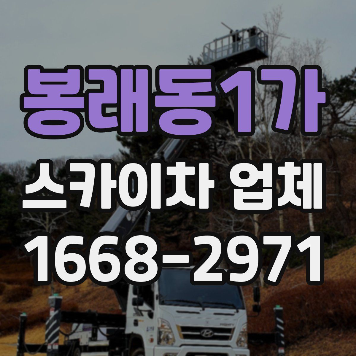 봉래동1가 스카이차 업체