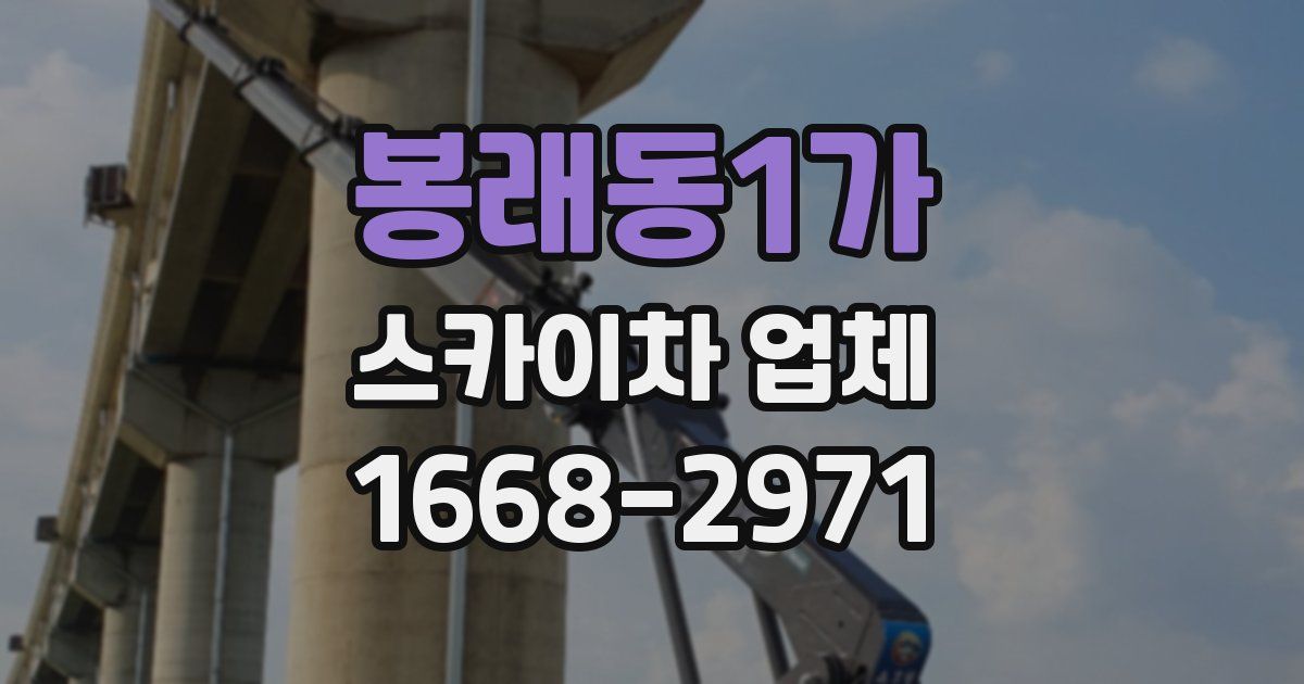 봉래동1가 스카이차 업체