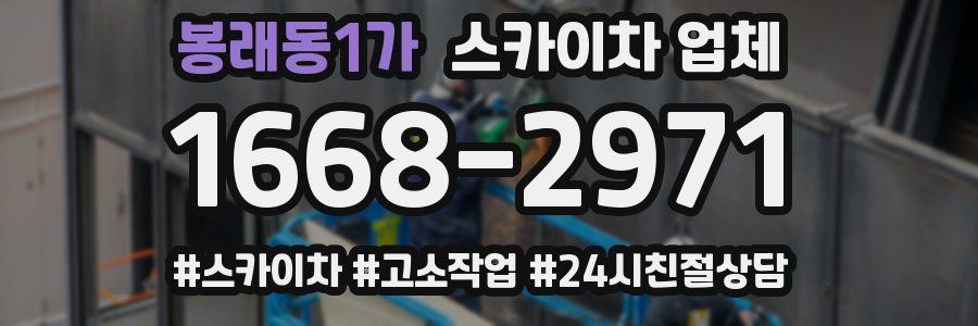 봉래동1가 스카이차 업체