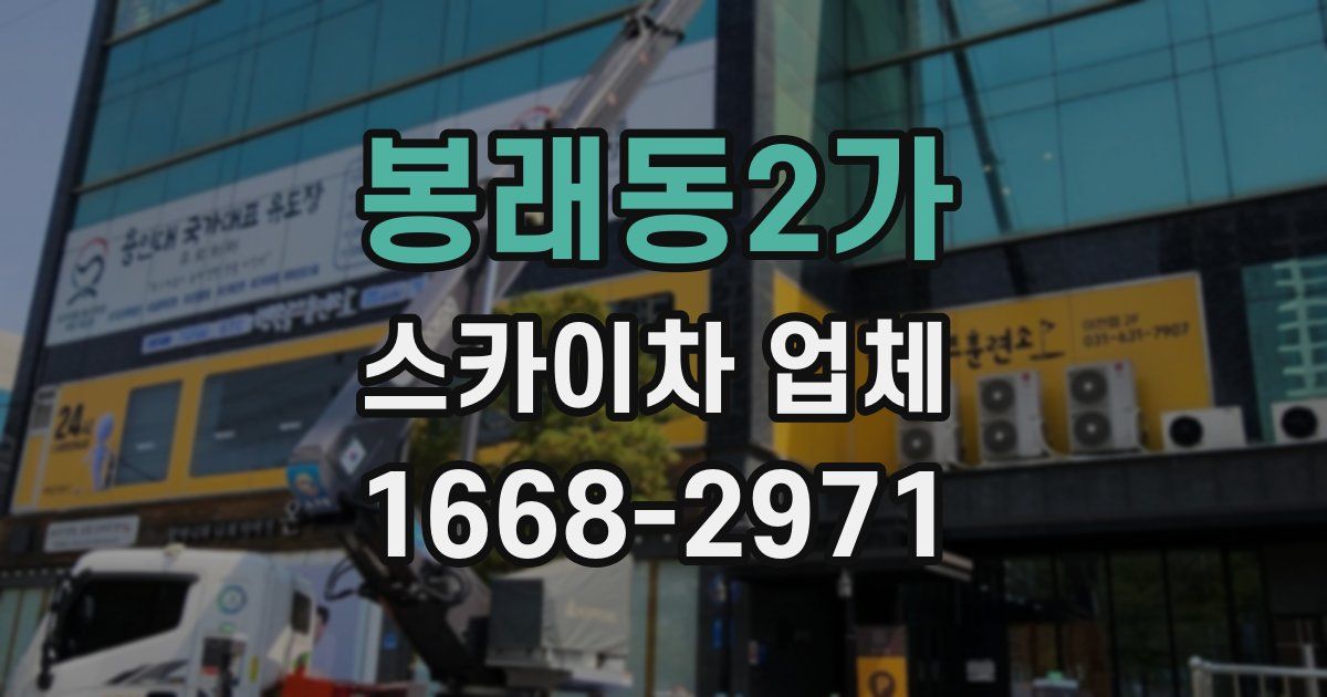 봉래동2가 스카이차 업체