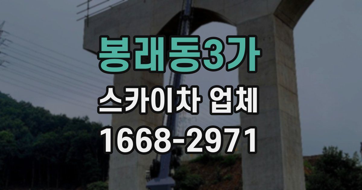 봉래동3가 스카이차 업체