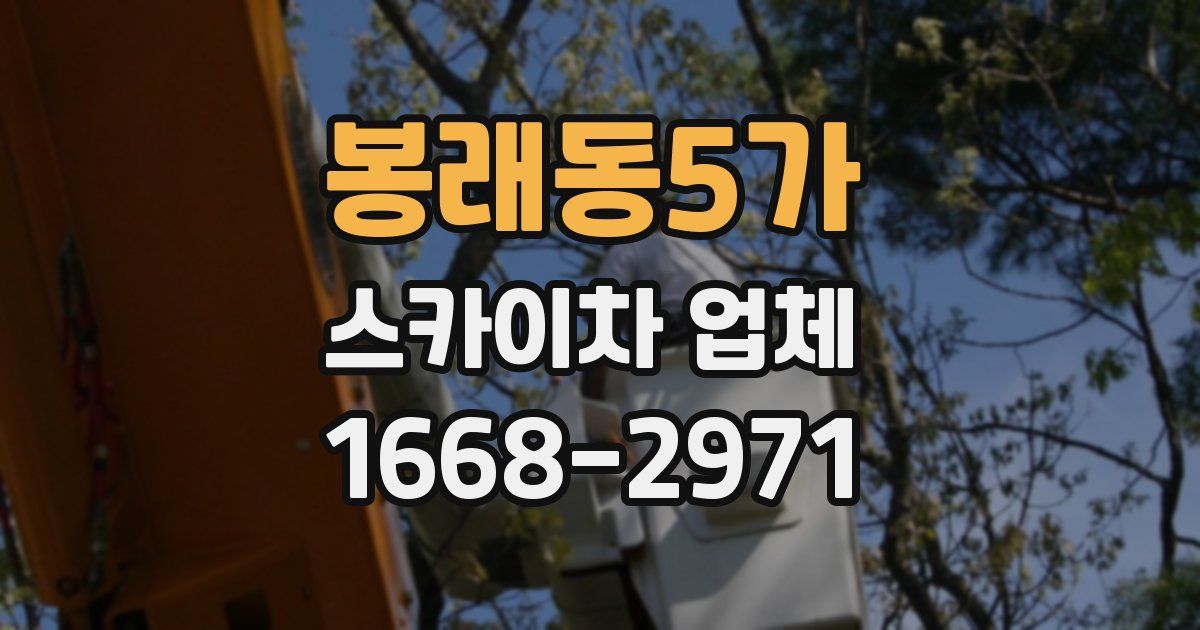 봉래동5가 스카이차 업체