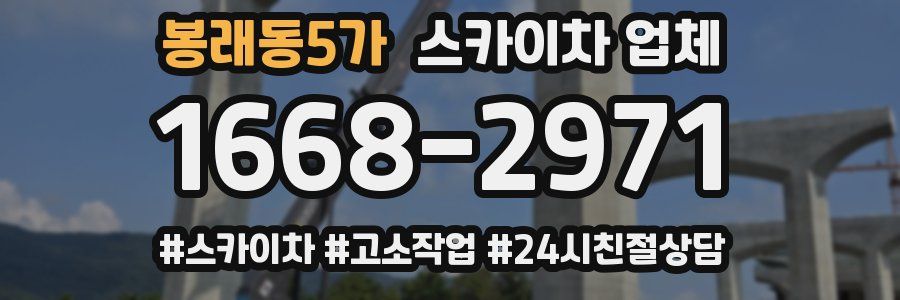 봉래동5가 스카이차 업체