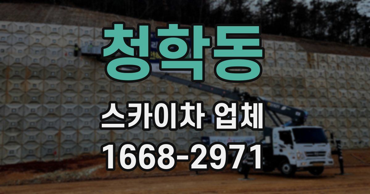 청학동 스카이차 업체