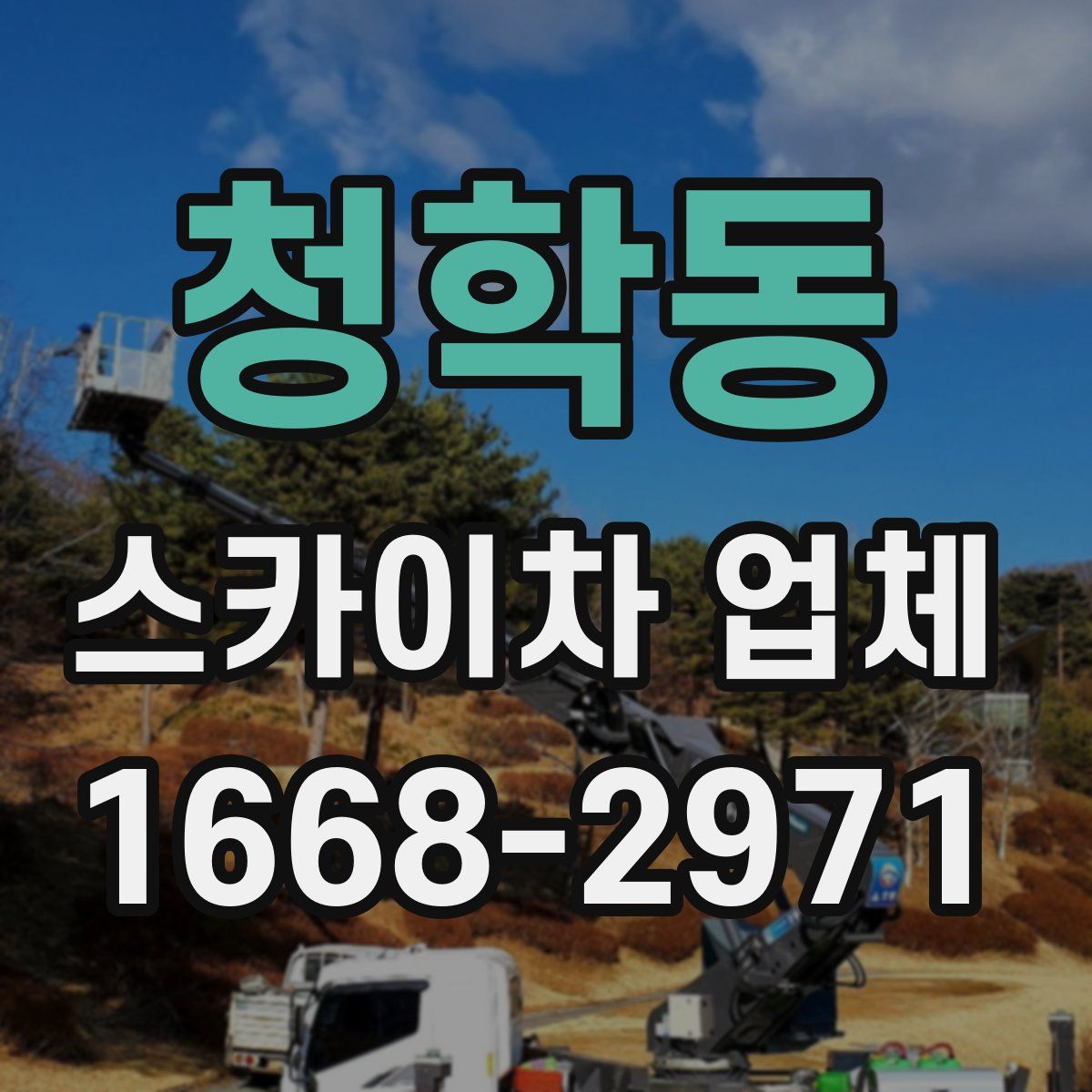 청학동 스카이차 업체
