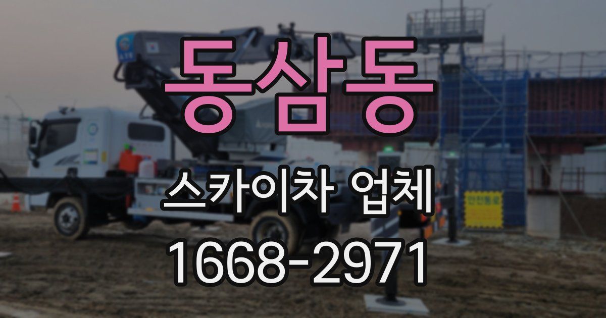 동삼동 스카이차 업체