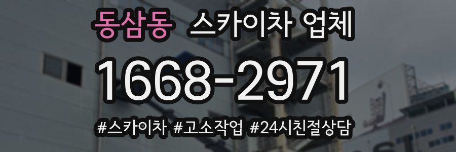 동삼동 스카이차 업체